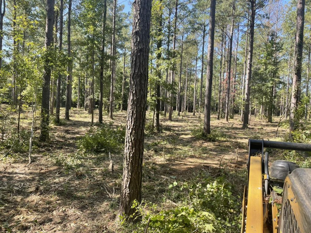 Wildlife stewardship practices