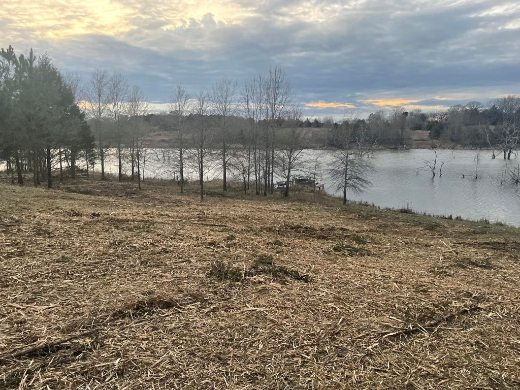 Home site clearing, home site prep