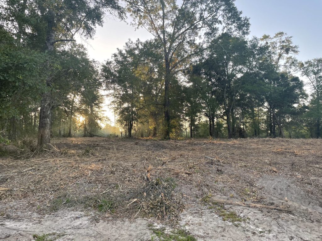 Land clearing