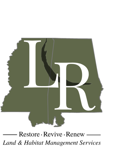 Land Revival